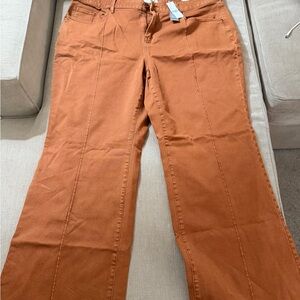 NWT size 20 Lane Bryant Terracotta Wide-Leg Pants